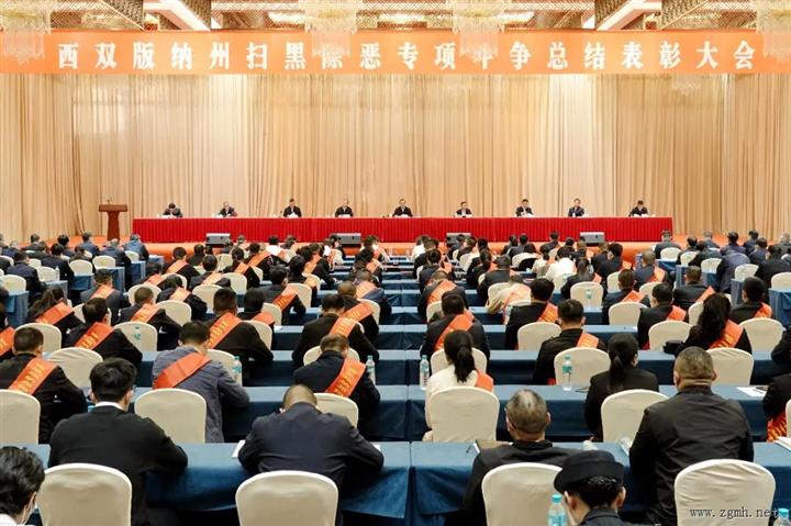 全州扫黑除恶专项斗争总结表彰大会召开：总结成绩经验