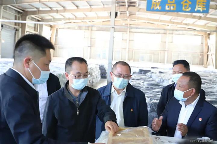 普洱市委书记李庆元调研江城公司
