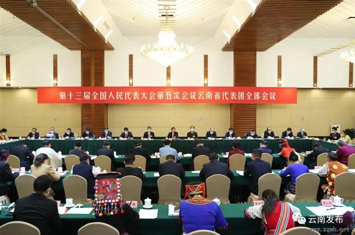 云南省代表团举行全体会议审议政府工作报告 郭声琨参