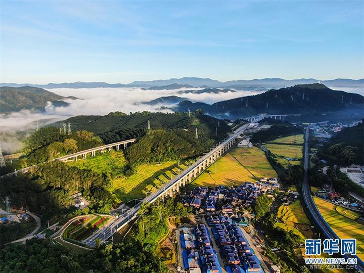 全国人大代表郑艺：强边固防 保护生态 绘就产业兴旺、