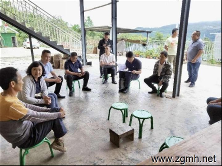州委副书记王嘉玲一行到勐腊县象明彝族乡调研乡村振兴