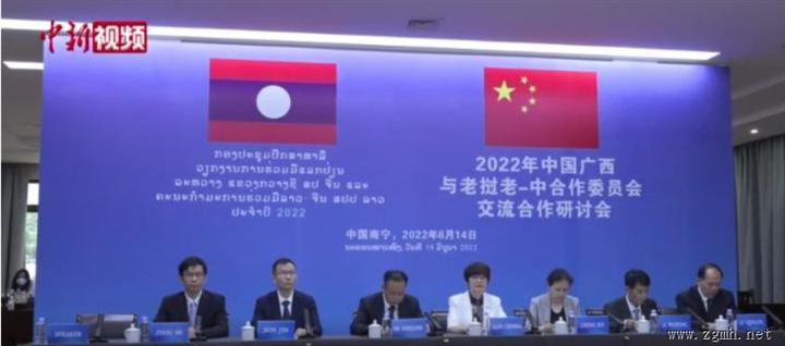 广西推动与老挝交流 深化疫下区域合作