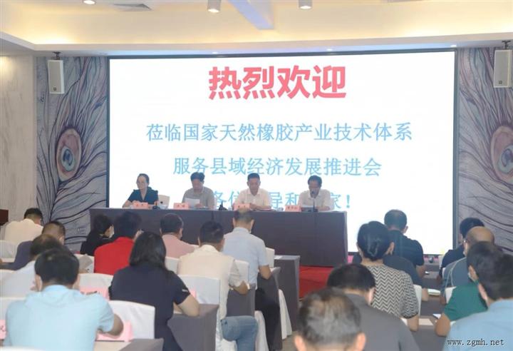 擘画橡胶产业高质量发展新蓝图 | 国家天然橡胶产业技