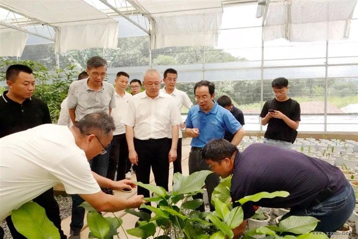 朱家伟到中国科学院西双版纳热带植物园调研时强调：加