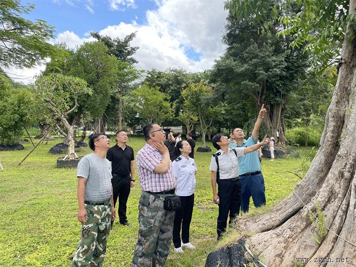 省林检局赴西双版纳州磨憨镇检查国外引种试种苗圃检疫