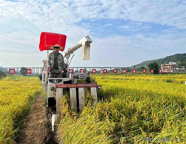 “楚粳54号”再获高产 高原水稻新品平均亩产954.9千克