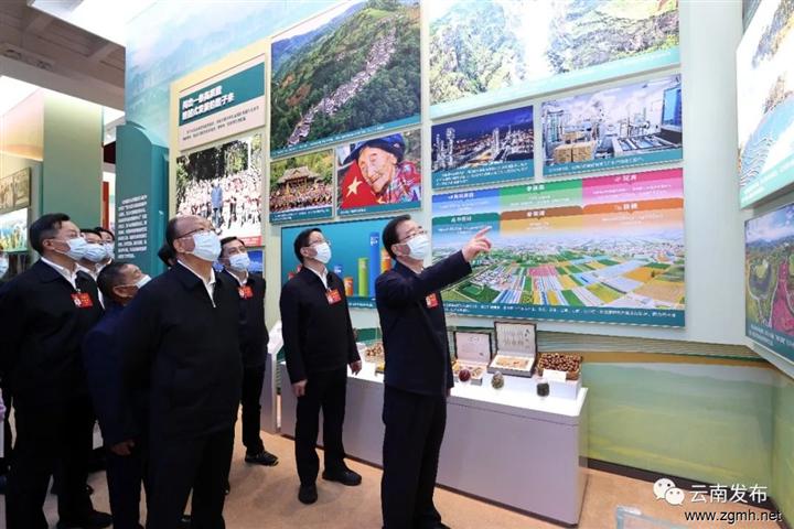 感悟非凡成就 凝聚奋进力量 云南省代表团全体代表参观
