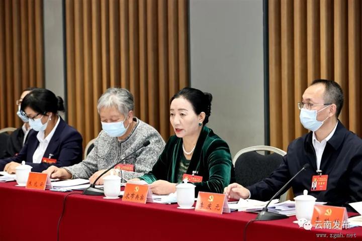 云南省代表团讨论十九届中央纪委工作报告和党章修正案