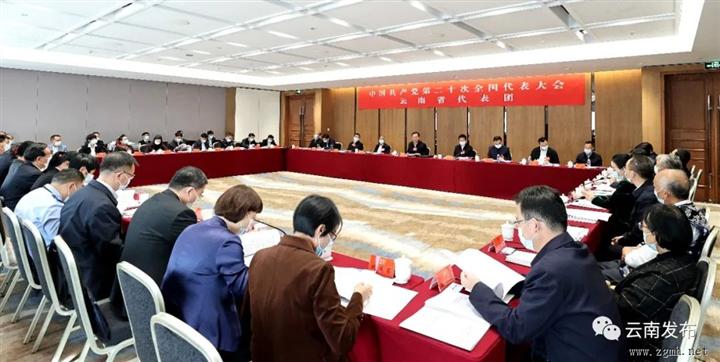 云南省代表团继续讨论党的二十大报告 王宁主持 王予波