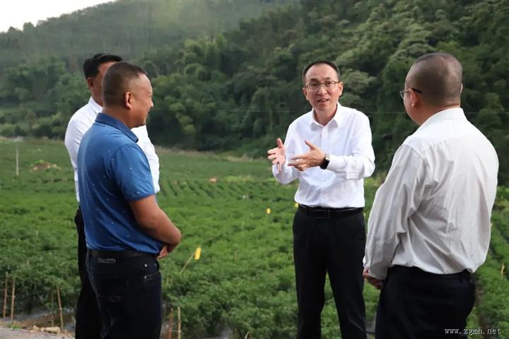 普洱市委书记李庆元到云胶江城公司调研