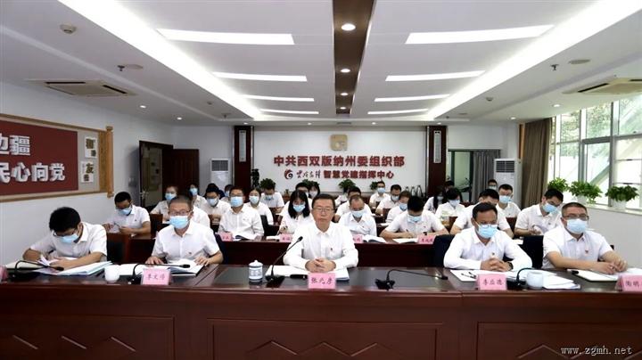 云南省第三片区党建联盟第四季度活动在西双版纳州举行