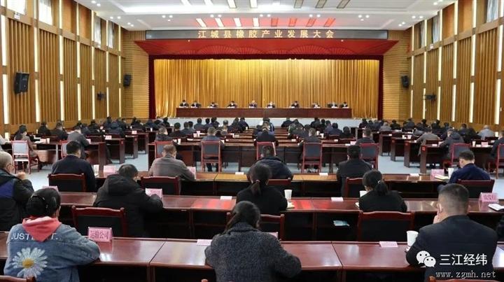 江城县橡胶产业发展大会强调：要立足优势 强化统筹 优