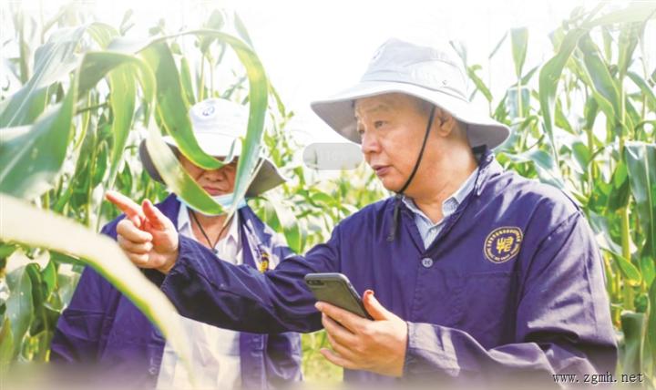 新增产值超170亿元！走遍大半中国，他为玉米装上“中