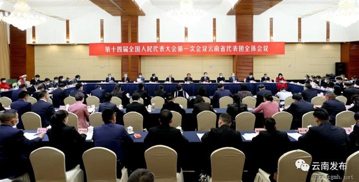 云南省代表团举行全体会议 推选王宁为代表团团长，王
