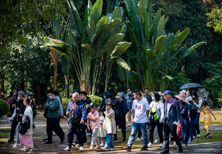 生态增绿 文旅提质 投资热土！《经济日报》报道云南西