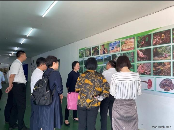 广西北海市市长李莉参观访问BBL(老挝)草药开发有限公