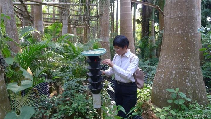 榜样的力量 | 谢春华：勐腊森林安全的守护者