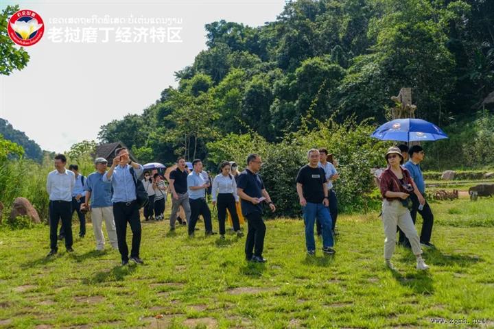 特区动态｜上海市企业联合会与沪滇企业到访老挝磨丁经济特区开展投资考察
