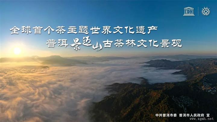 为什么是景迈山？“普洱景迈山古茶林文化景观”申遗之路