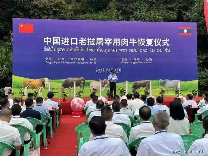 9月28日，中国恢复进口老挝屠宰用肉牛，仪式在云南勐腊举行