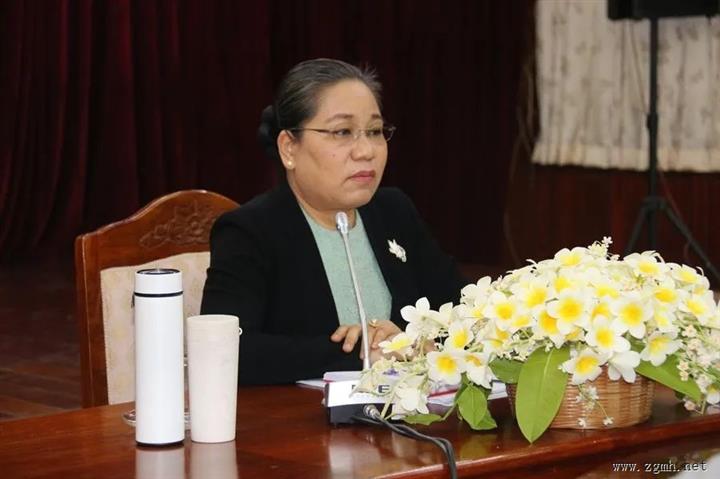 老挝新闻文化旅游部召开协商会议，讨论2024年东盟主席国东盟文化社会支柱的筹备工作...