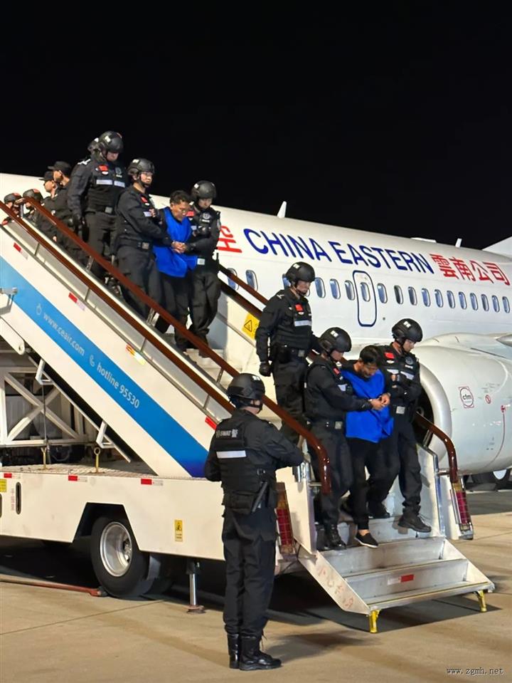 重大战果！白所成等10名缅北重大嫌犯被押解回国