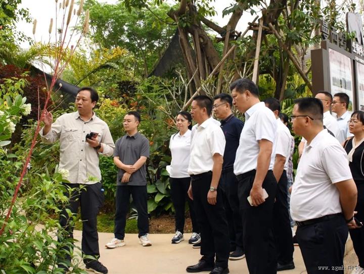 刀文在“绿美+无垃圾”试点建设现场会上强调：巩固提升绿美建设成果 擦亮雨林城市底色 提升群众幸福指数