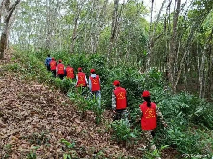 勐捧镇曼贺南村 | “三箭齐发”精算兴边富民最大公因数