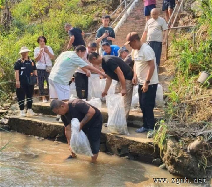 天龙公司践行习近平生态文明思想 促进人与自然和谐共生到流沙河开展生活动