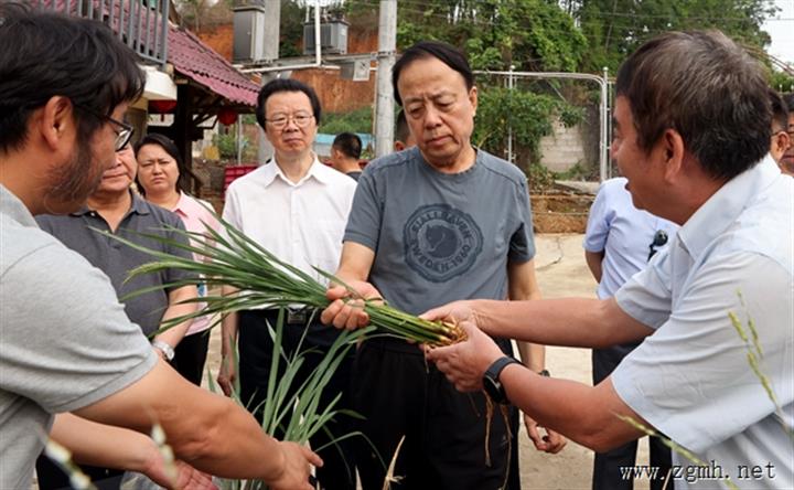 武维华率全国人大常委会执法检查组在滇开展农业法执法检查 依法夯实粮食安全根基 加快建设高原特色农业强
