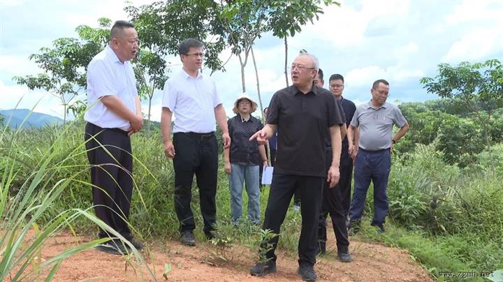 朱家伟在景洪调研督导中央生态环境保护督察通报典型案例整改工作时强调 坚决扛起政治责任 抓紧整改依法整