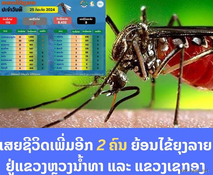 老挝疟疾病例达8432例，又有两人死于疟疾！