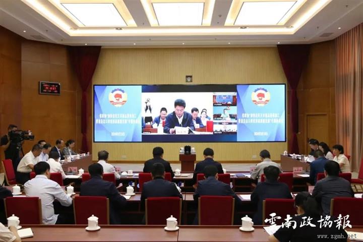 省政协“加快边民互市商品落地加工 推进沿边口岸经济高质量发展”专题协商会发言摘登
