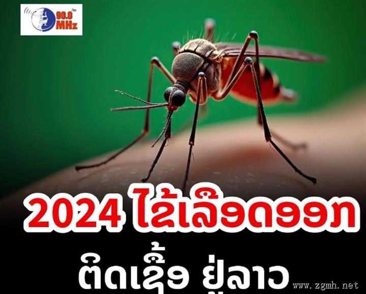 2024年老挝感染登革热的人数超过2万，其中11人死亡。