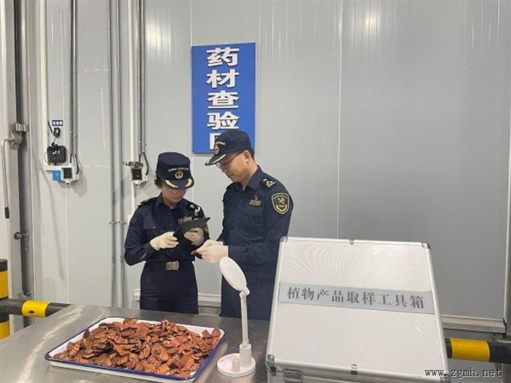 磨憨铁路口岸首次进口中药材