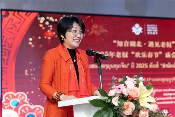 方虹大使出席“欢乐春节”开幕式