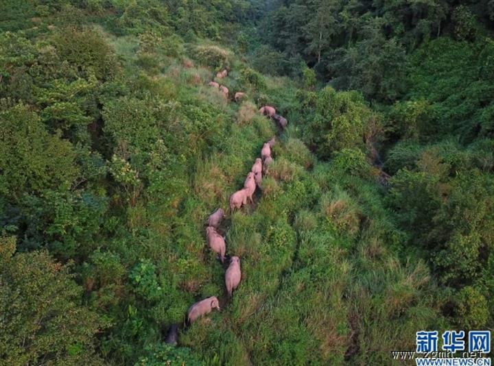 【聚焦云南省两会】西双版纳州：推动产业转型升级 打造沿边开放新高地