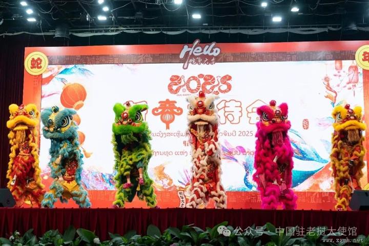 驻老挝使馆举行2025年新春招待会