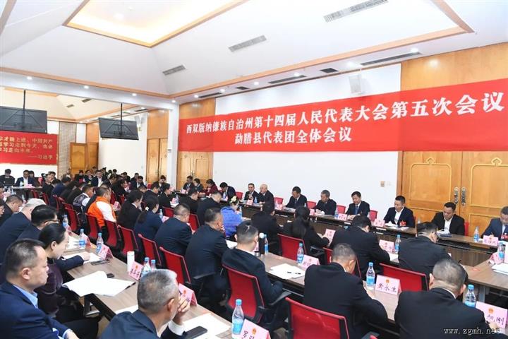 【聚焦州两会】朱家伟参加勐腊县代表团审议时强调：坚持在研究状态下开展工作 提前想 扎实干 奔着最好的