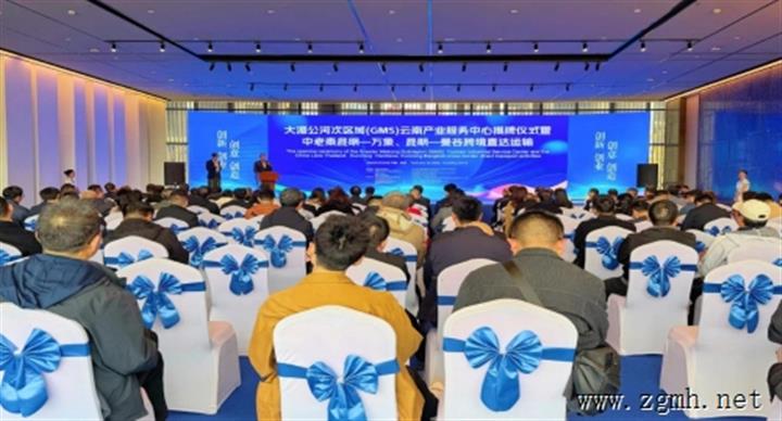 官渡区新螺蛳湾“大湄公河次区域（GMS）云南产业服务中心”成功揭牌并开通昆明至万象、曼谷跨境直达国际