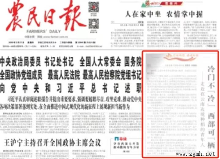报效祖国 建功西部丨《农民日报》头版聚焦在云南边境种稻的青年人