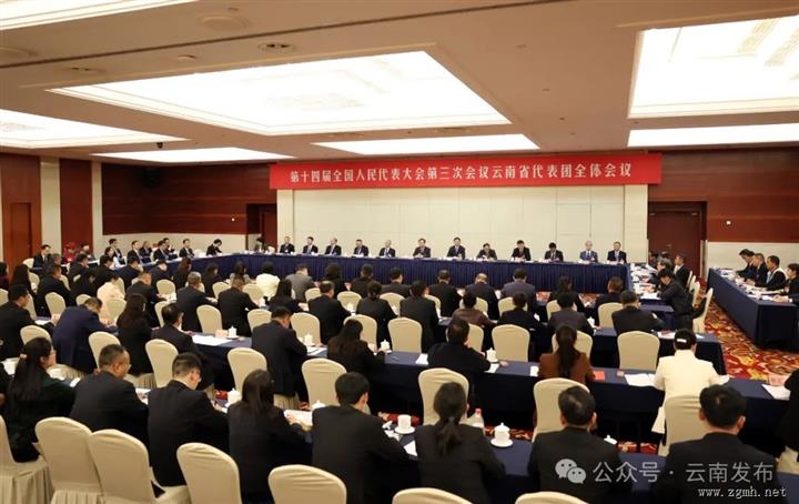 云南省代表团举行全体会议 推选王宁为代表团团长，王予波石玉钢李小三为副团长