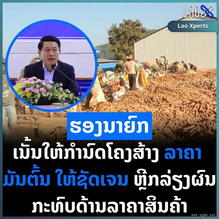 老挝副总理南下考察，为木薯产业未来发展指明方向