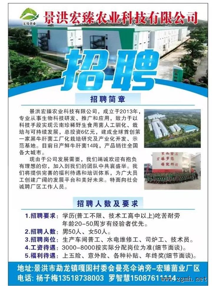 景洪宏臻农业科技有限公司招聘公告        