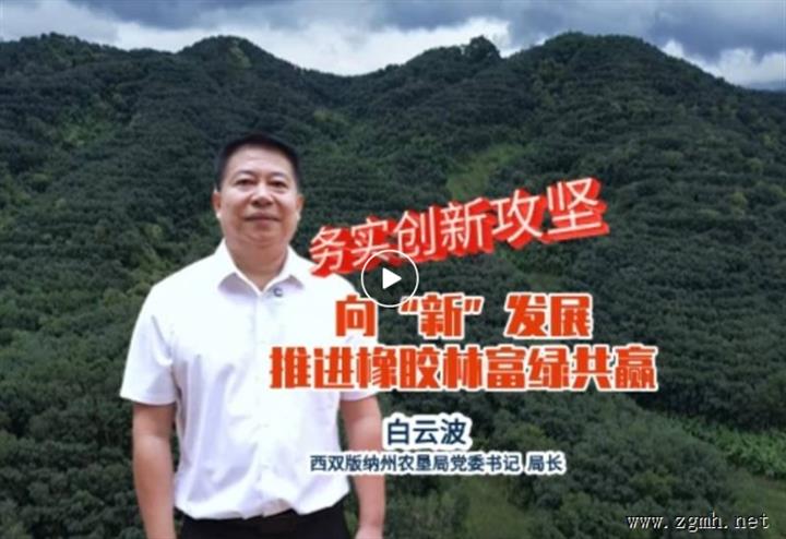 【务实创新攻坚】向“新”发展 推进橡胶林富绿共赢——专访州农垦局党委书记、局长白云波