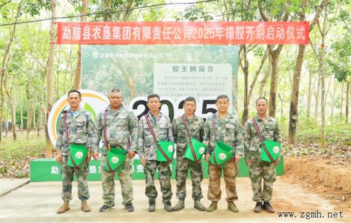 匠心传承启新程，共筑橡胶新辉煌 |  勐腊县举行2025年橡胶开割启动仪式