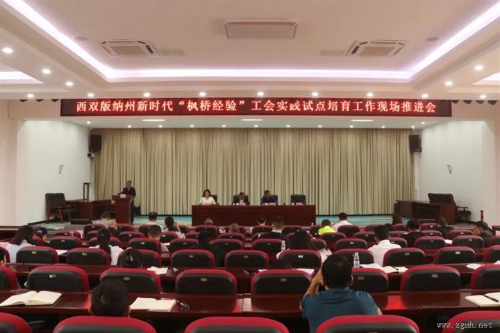 西双版纳州新时代“枫桥经验”工会实践试点培育工作现场推进会在勐腊县召开