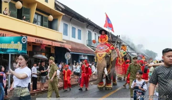 传承澜沧王国的信仰，琅勃拉邦大象游行迎接老挝2025新年！