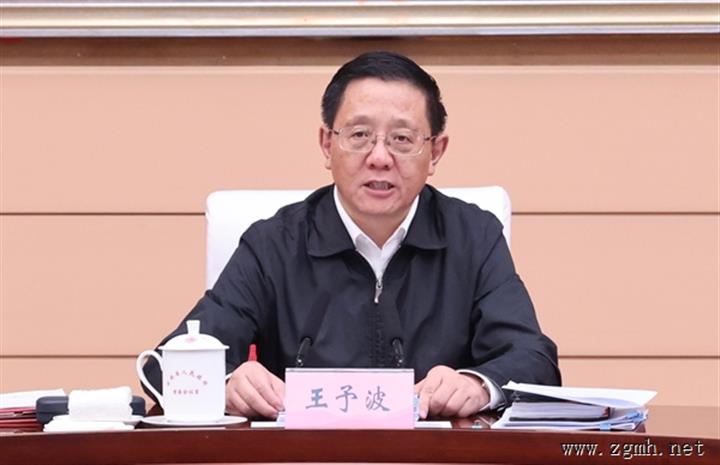 省政府召开党组会议 王予波主持，传达学习习近平总书记重要讲话精神， 研究部署落实省委全会精神工作