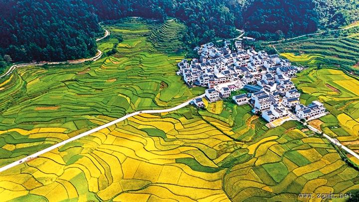 瞭望 | 兴边富民谱新篇